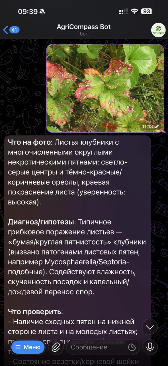 AI-диагностика листьев клубники: фотоанализ и гипотезы о заболевании