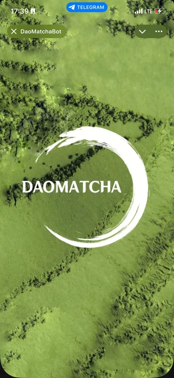 Заставка мини-приложения DAO MATCHA с логотипом бренда